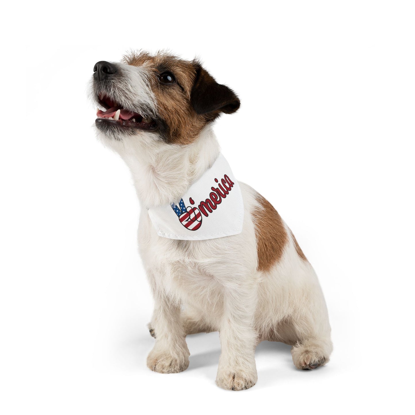 America - Pet Bandana