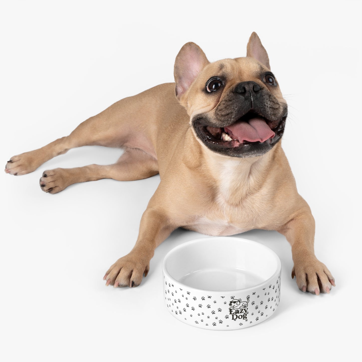 Lazy Dog Pet Bowl