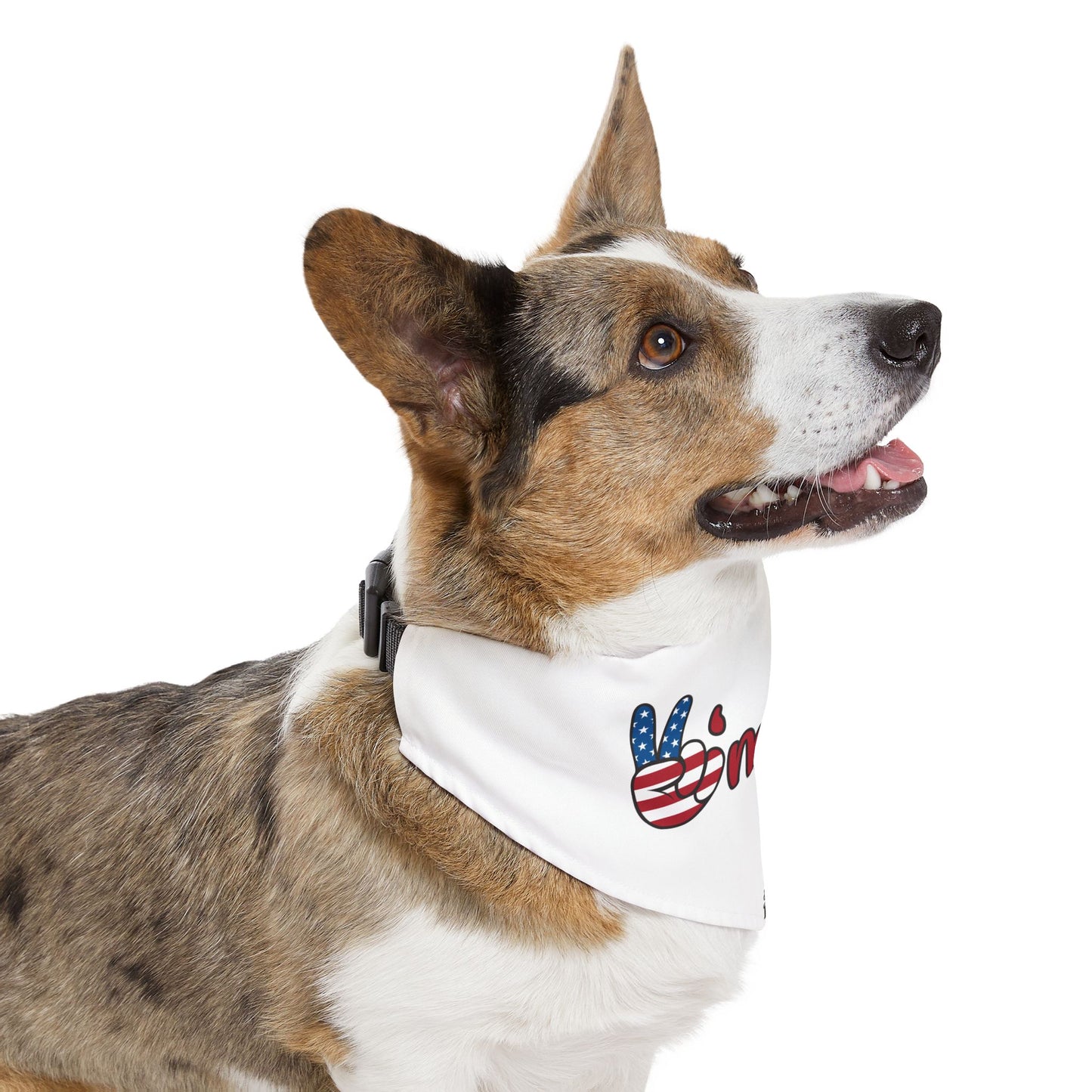 America - Pet Bandana