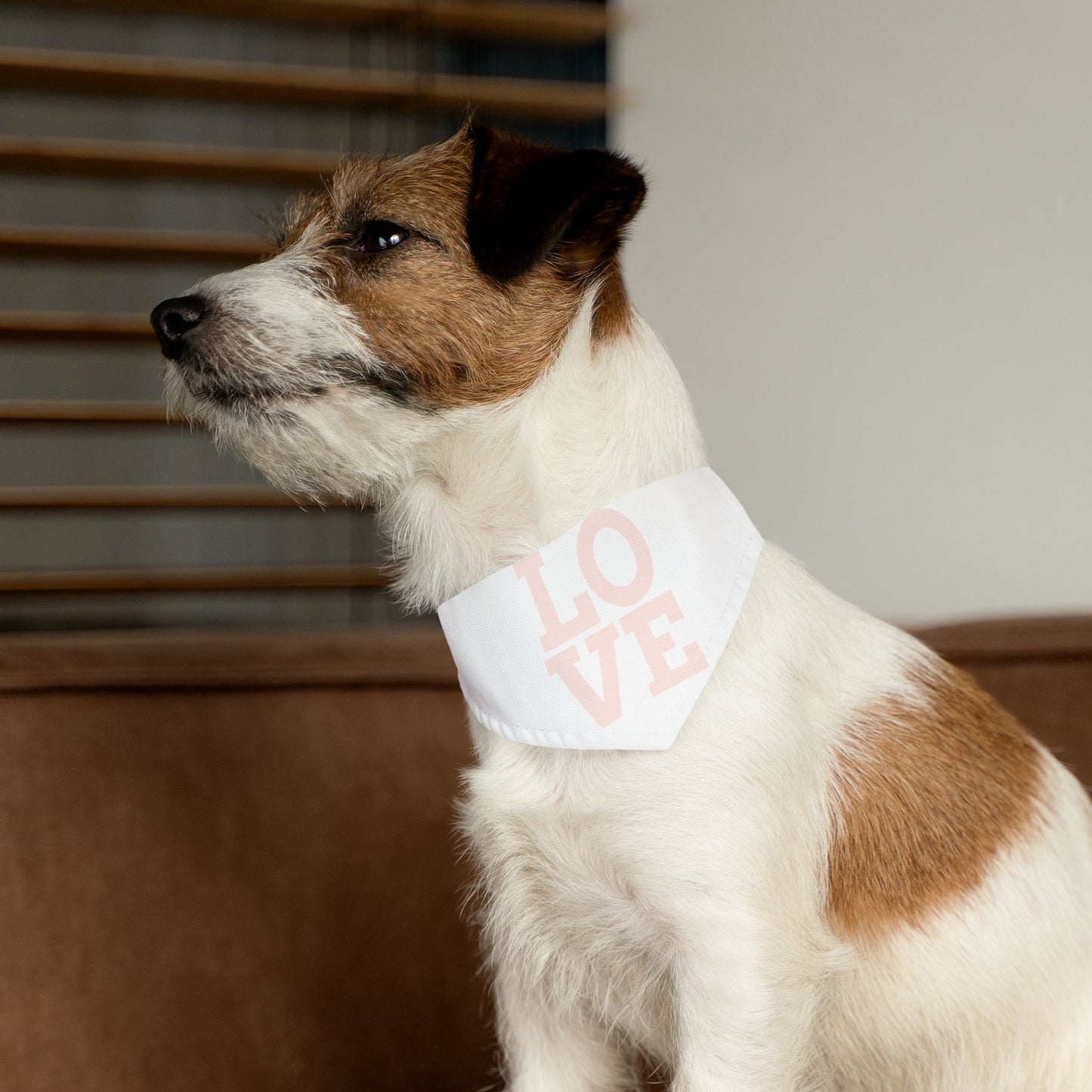 Love - Pet Bandana