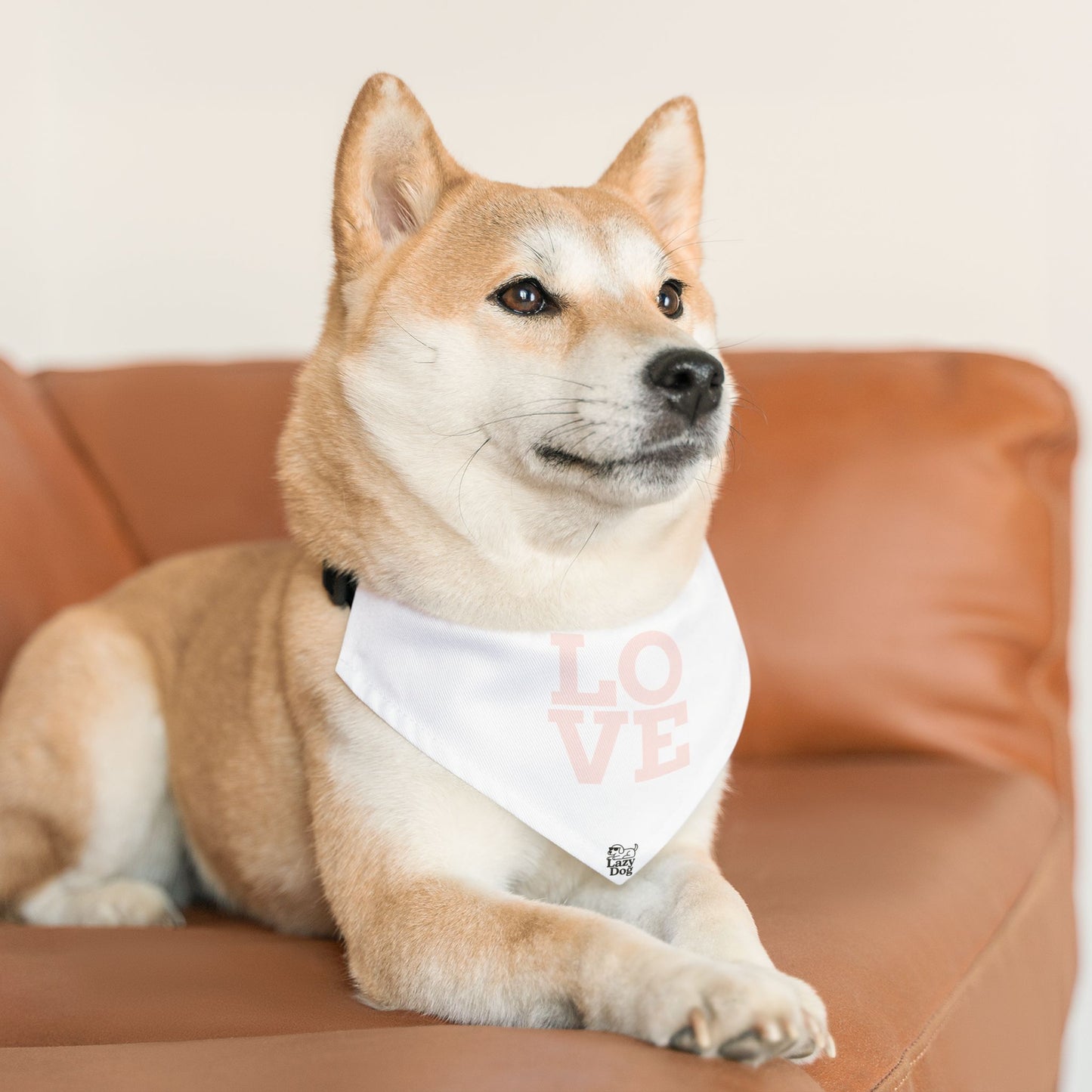 Love - Pet Bandana