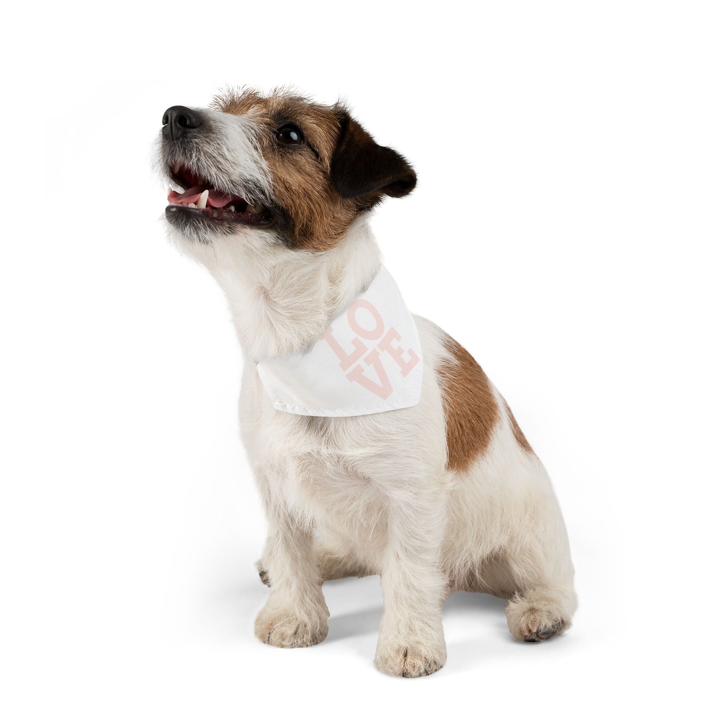 Love - Pet Bandana