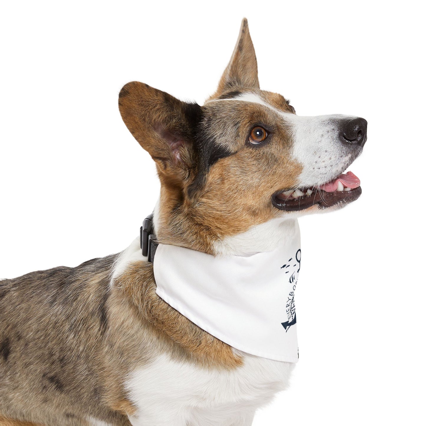Anchor - Pet Bandana