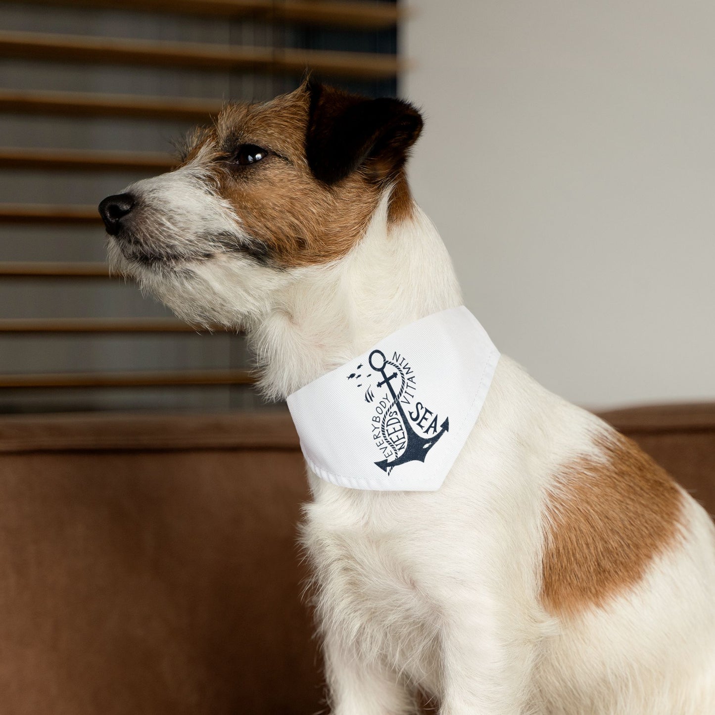 Anchor - Pet Bandana