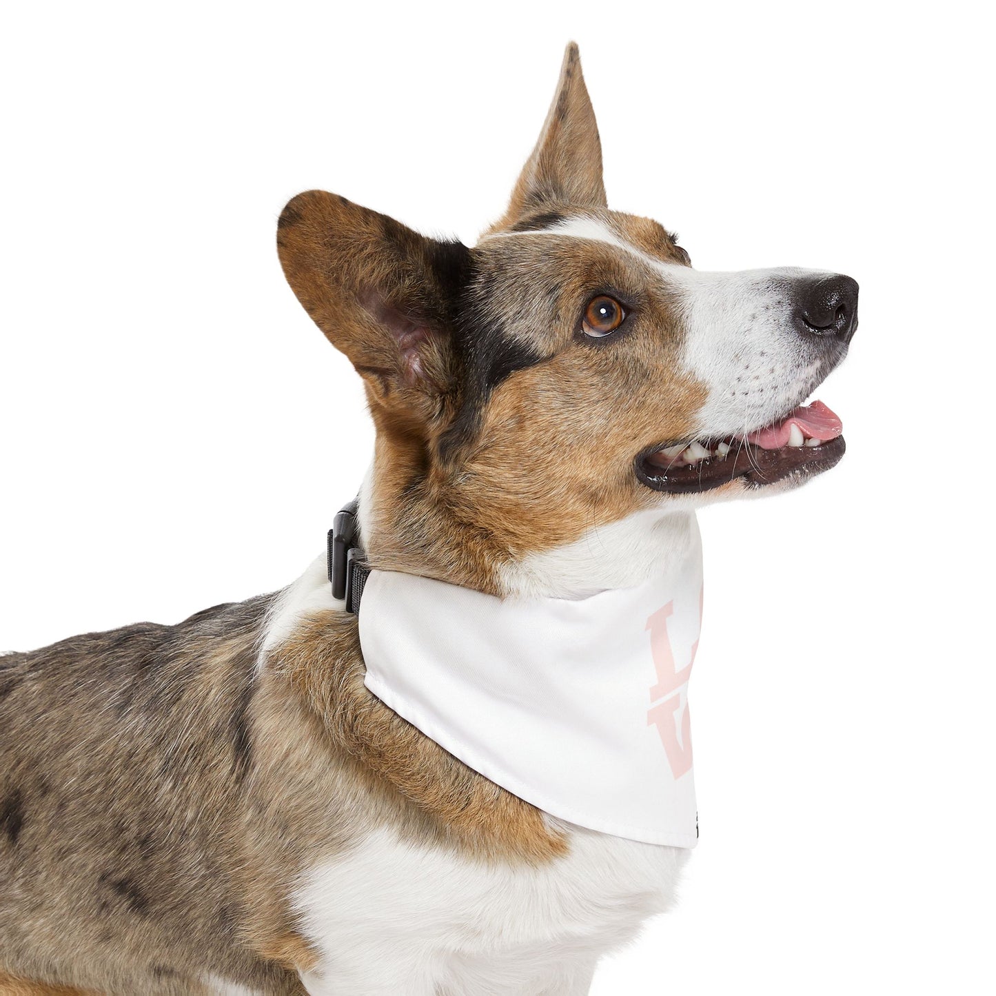 Love - Pet Bandana